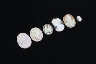 Six loose shell cameo panels including Hebe goddess (42g)