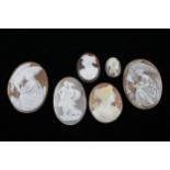 Six loose shell cameo panels including Hebe goddess (32g)