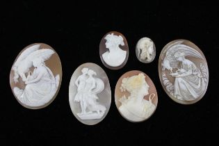 Six loose shell cameo panels including Hebe goddess (32g)