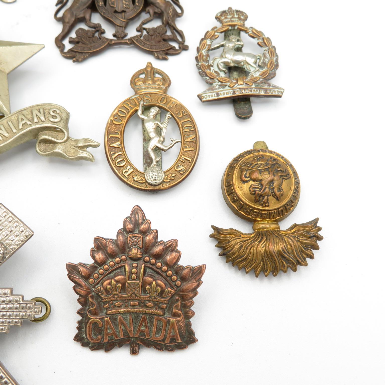 15x Military cap badges including Canadian and South Lancs etc. - - Image 15 of 15