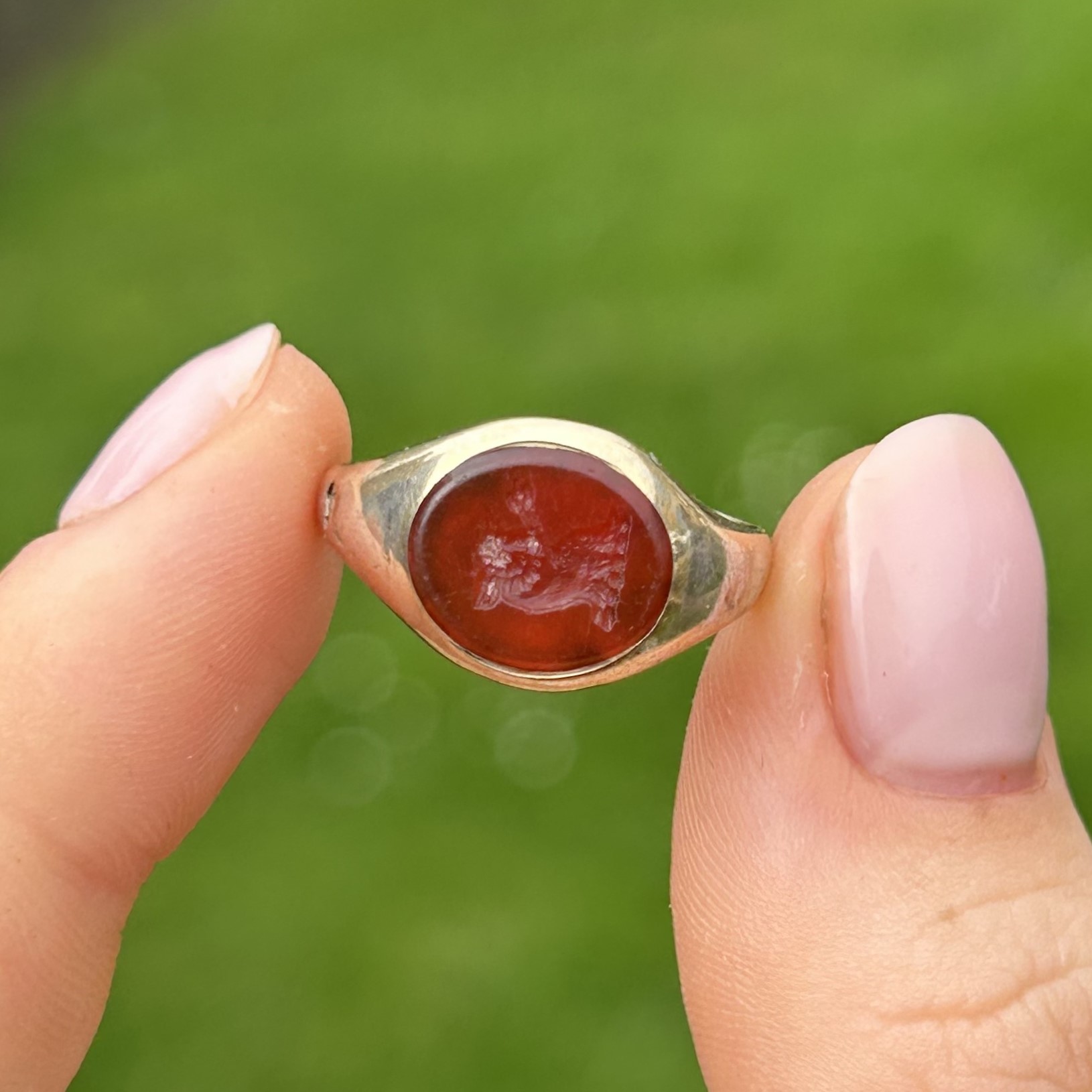 14ct gold band and 5ct gold headed antique carnelian bull intaglio set signet ring - as seen Size