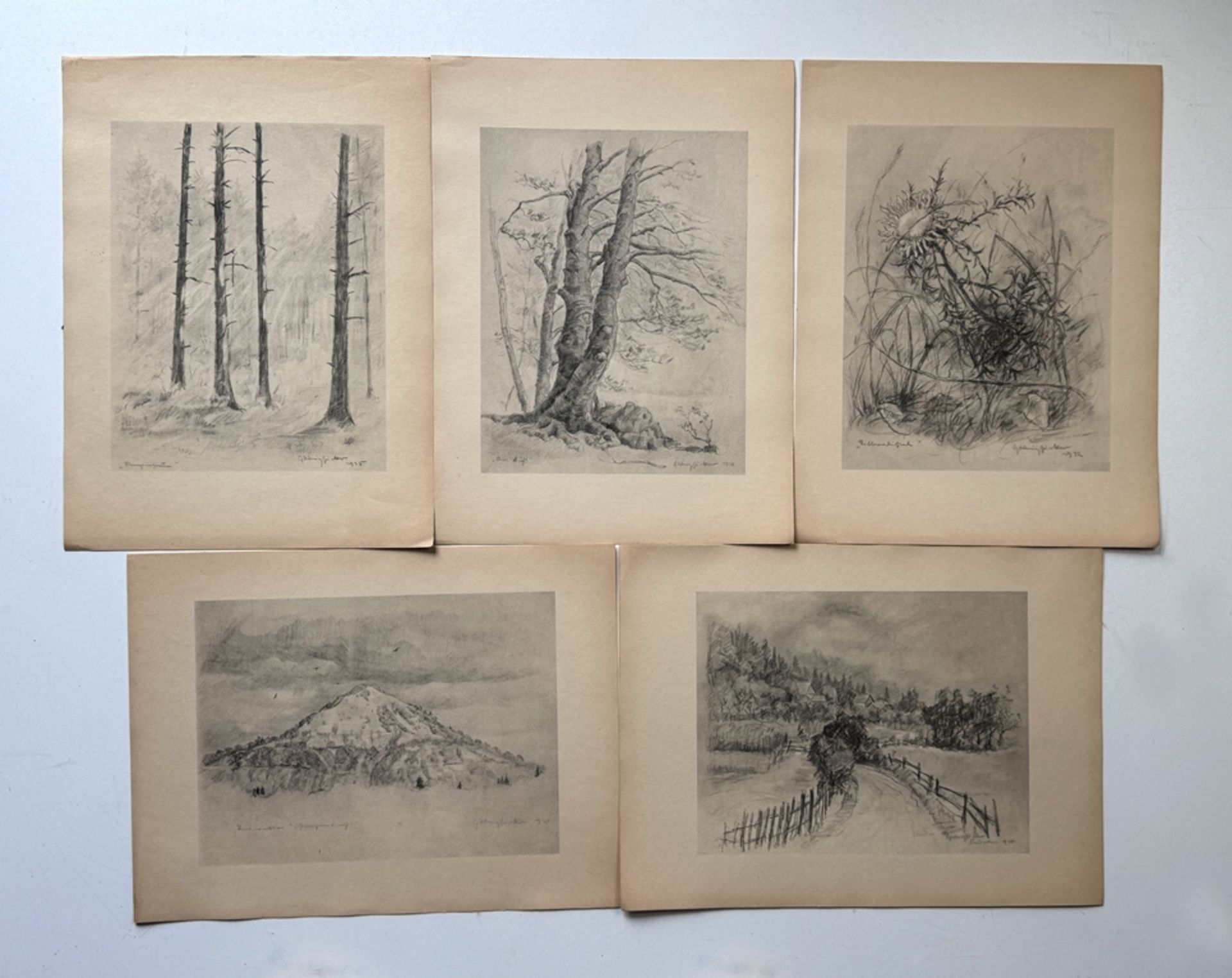 Weizsäcker, Gustav (1901 Reutlingen - 1941 ibid.) Art portfolio with 9 prints of pencil drawings, p - Image 2 of 3