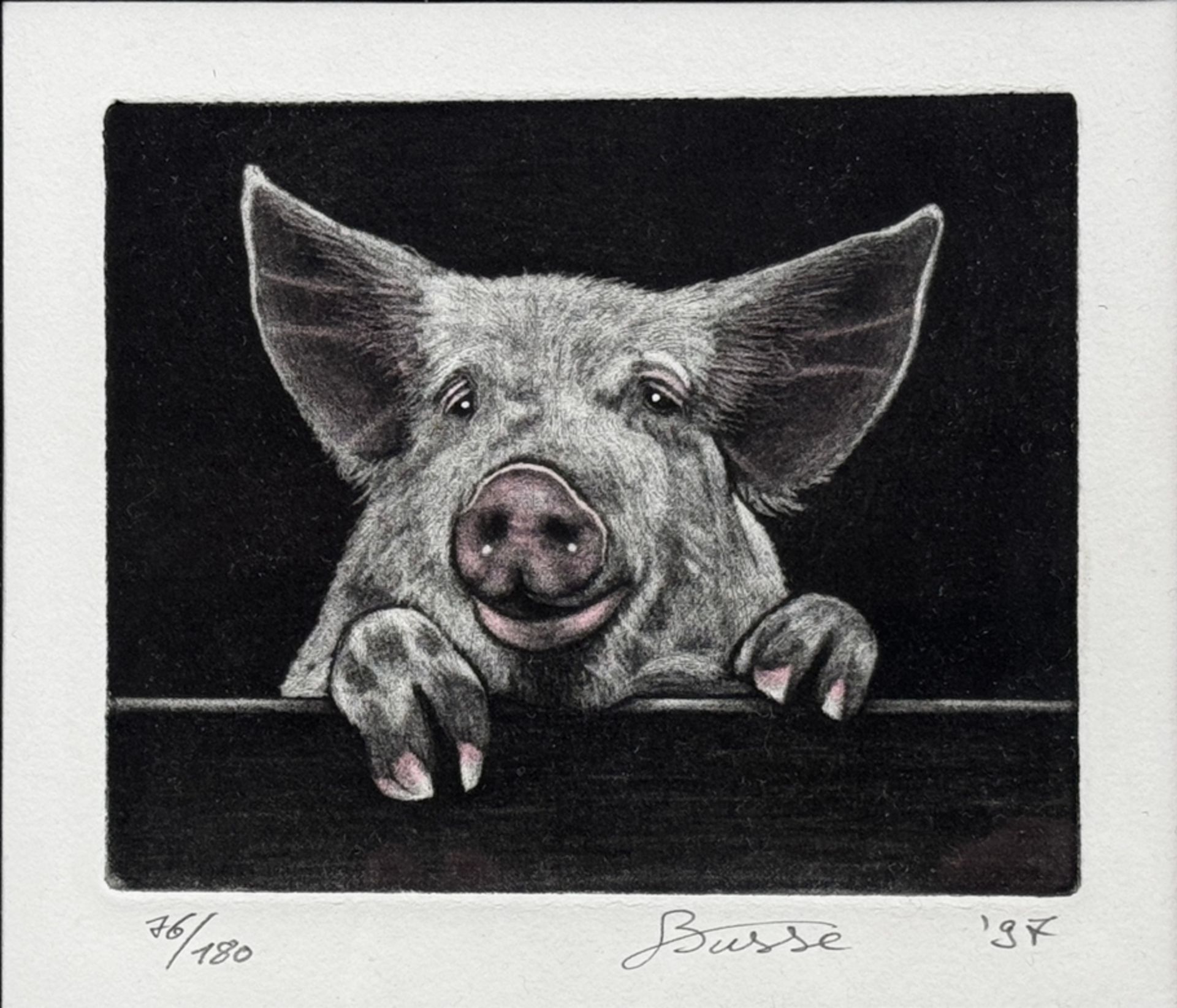 Busse (20th century) "Pig", etching, copy 76/180, signed by hand at bottom, dated (19)97 at bottom
