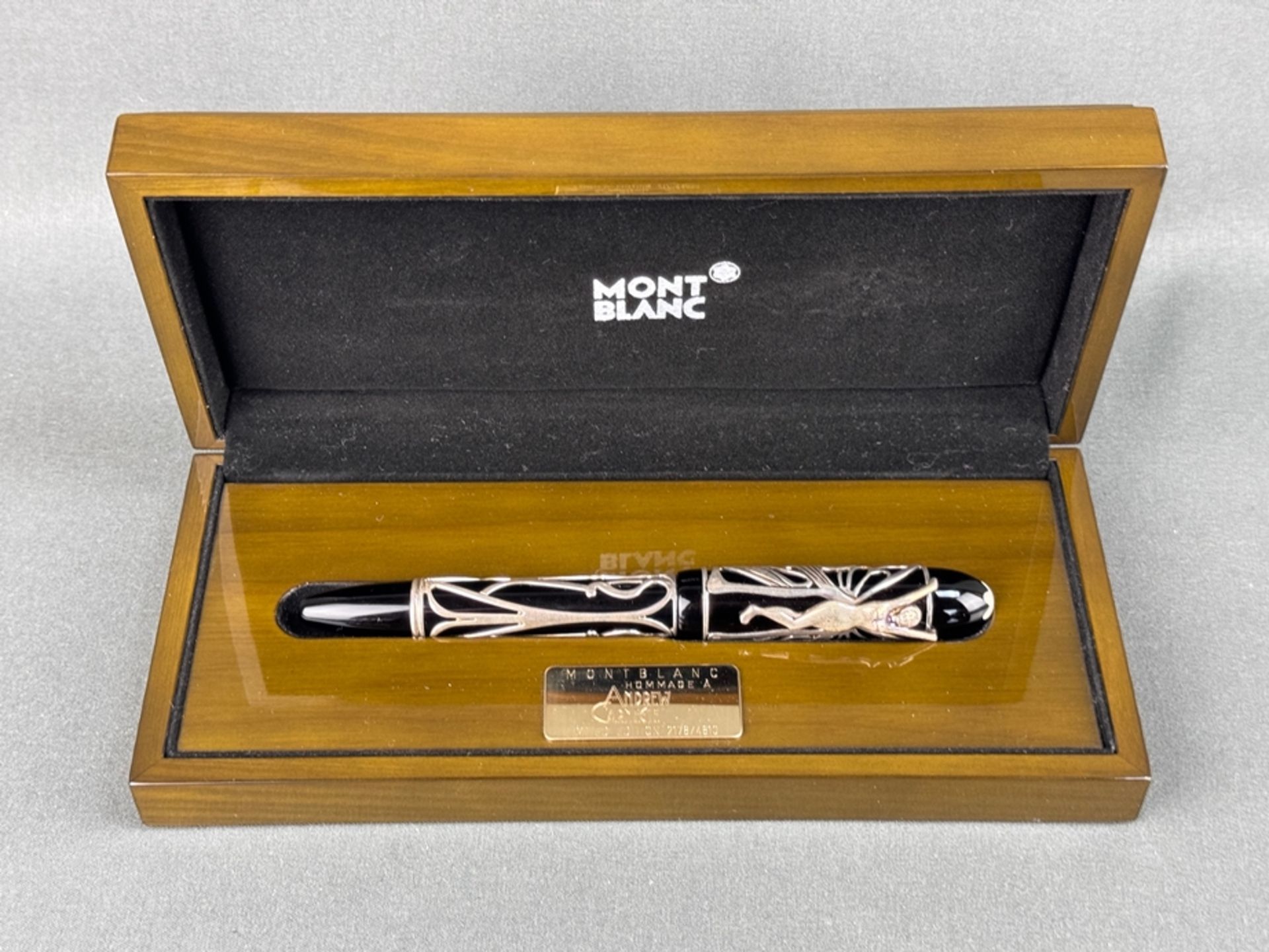Montblanc fountain pen "Andrew Carnegie", limited edition 2178/4810, piston fountain pen with 750/1