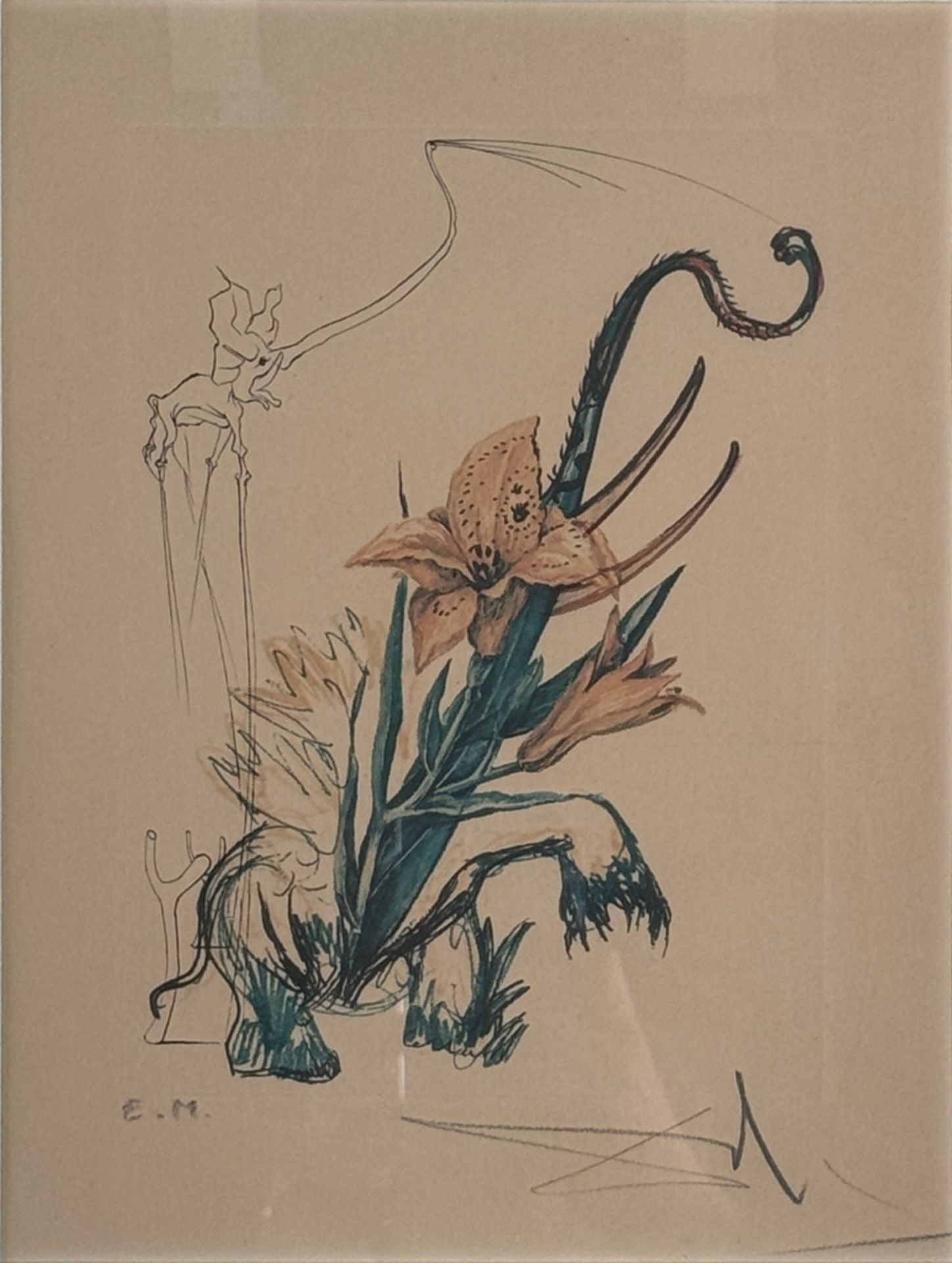 Dali, Salvador (1904 - 1989 Figueres) "Hemerocallis thumbergii elephanter furiosa", from the series