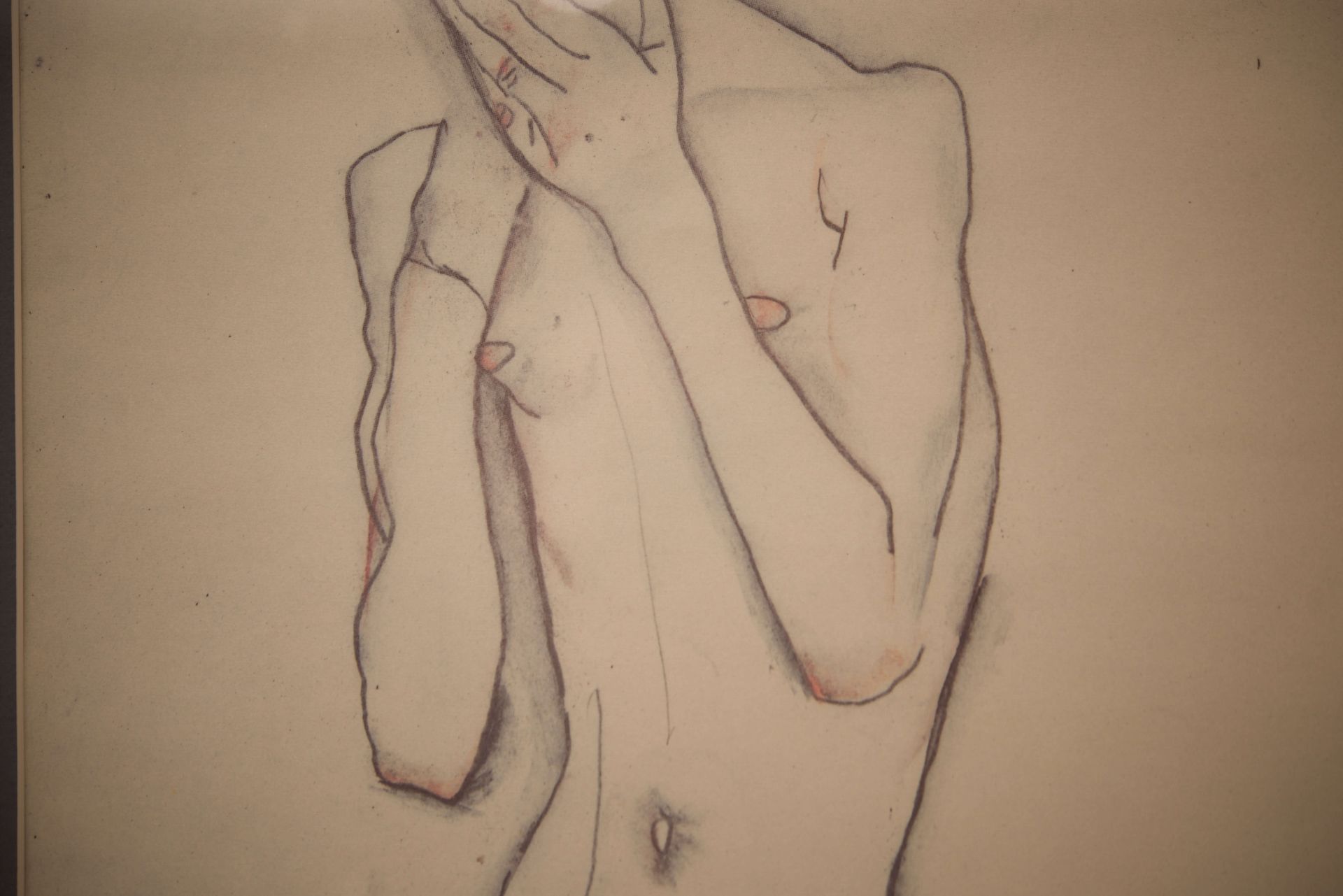 Nach Egon Schiele Weiblicher Akt Kunstdruck |After Egon Schiele Female Nude Art Print - Image 4 of 4