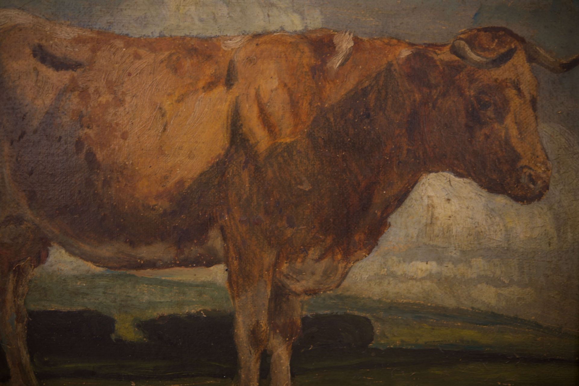 Anton Schrödel Weidendes Vieh |Anton Schrödel Grazing Cattle - Image 3 of 5