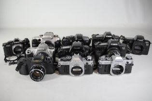 11 Canon Cameras AE 1 Program Canon EOS 650 Canon T50 Canon EOS 1000f and others