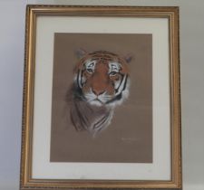 Original Pastel Artwork Pip Mcgarry Tiger Signed Dated 1990 Height 85cm X Width 69cm