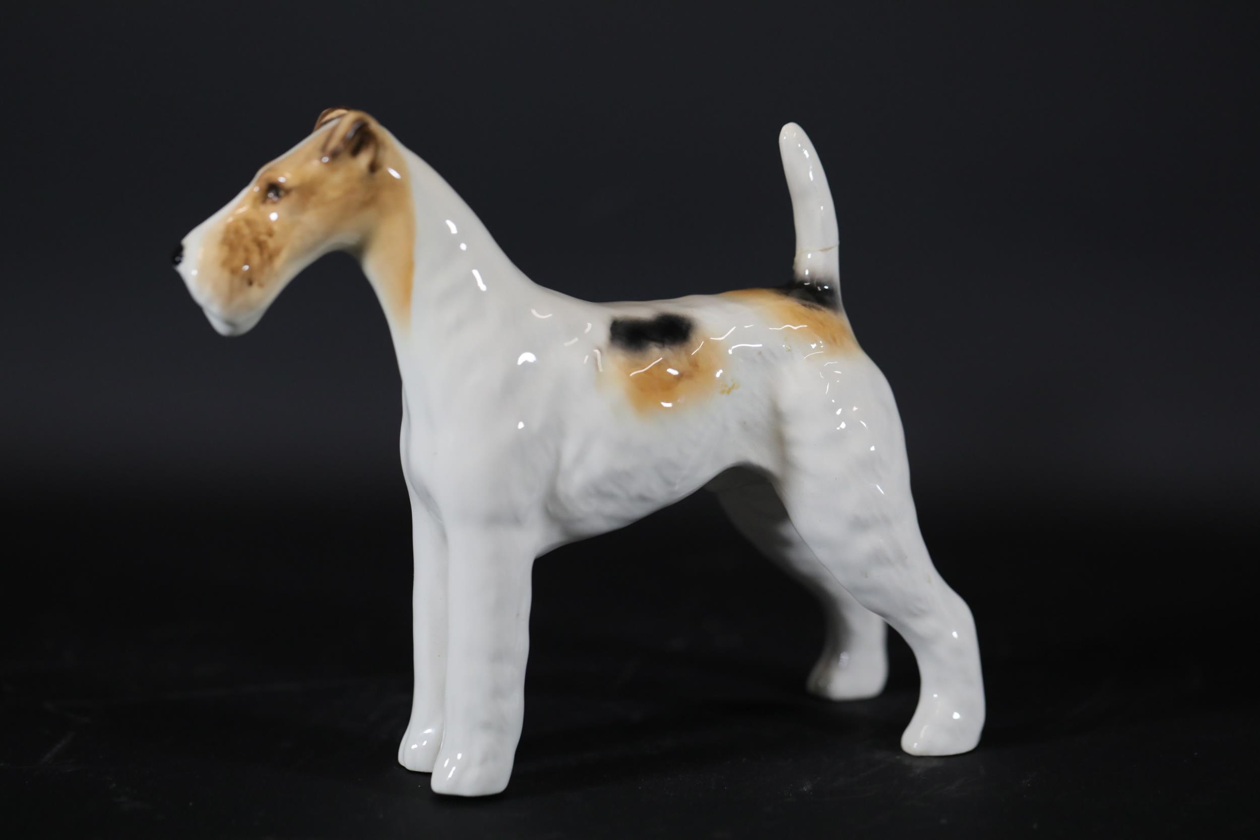 Beswick Ch Talavera Romulus Jack Russell Terrier Sylvac Dog 5 11 Scotch Includes Three - Image 8 of 17