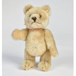 Steiff, bear Jackie, 50s, 25 cm, with buttom, very good condition