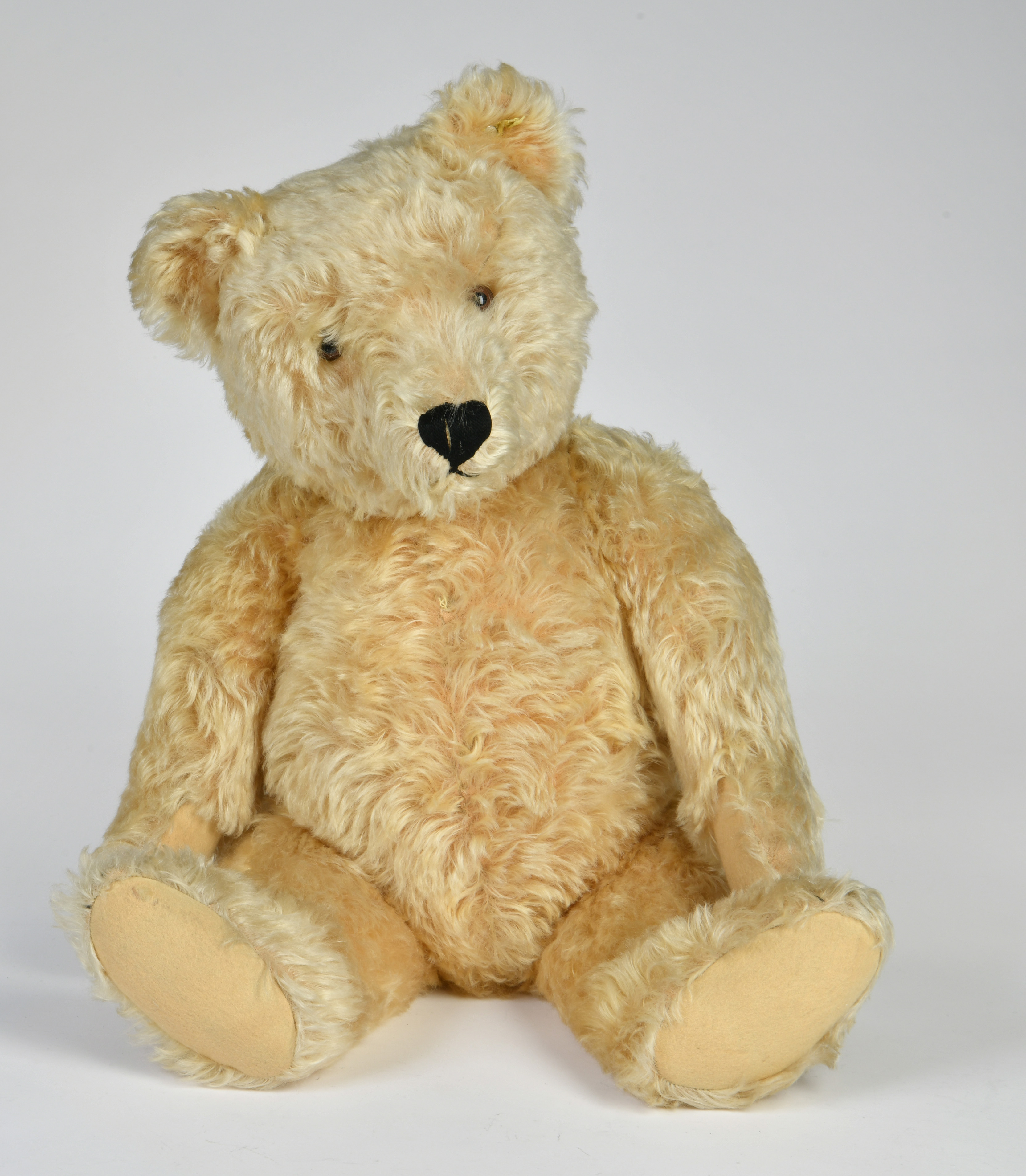 Steiff, bear, 60cm, 1950s/1960s, with buttom, yellow, very good condition