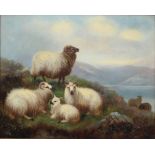 John Shirley Fox (c.1860-1939) Schafe in den Highlands, sheeps,