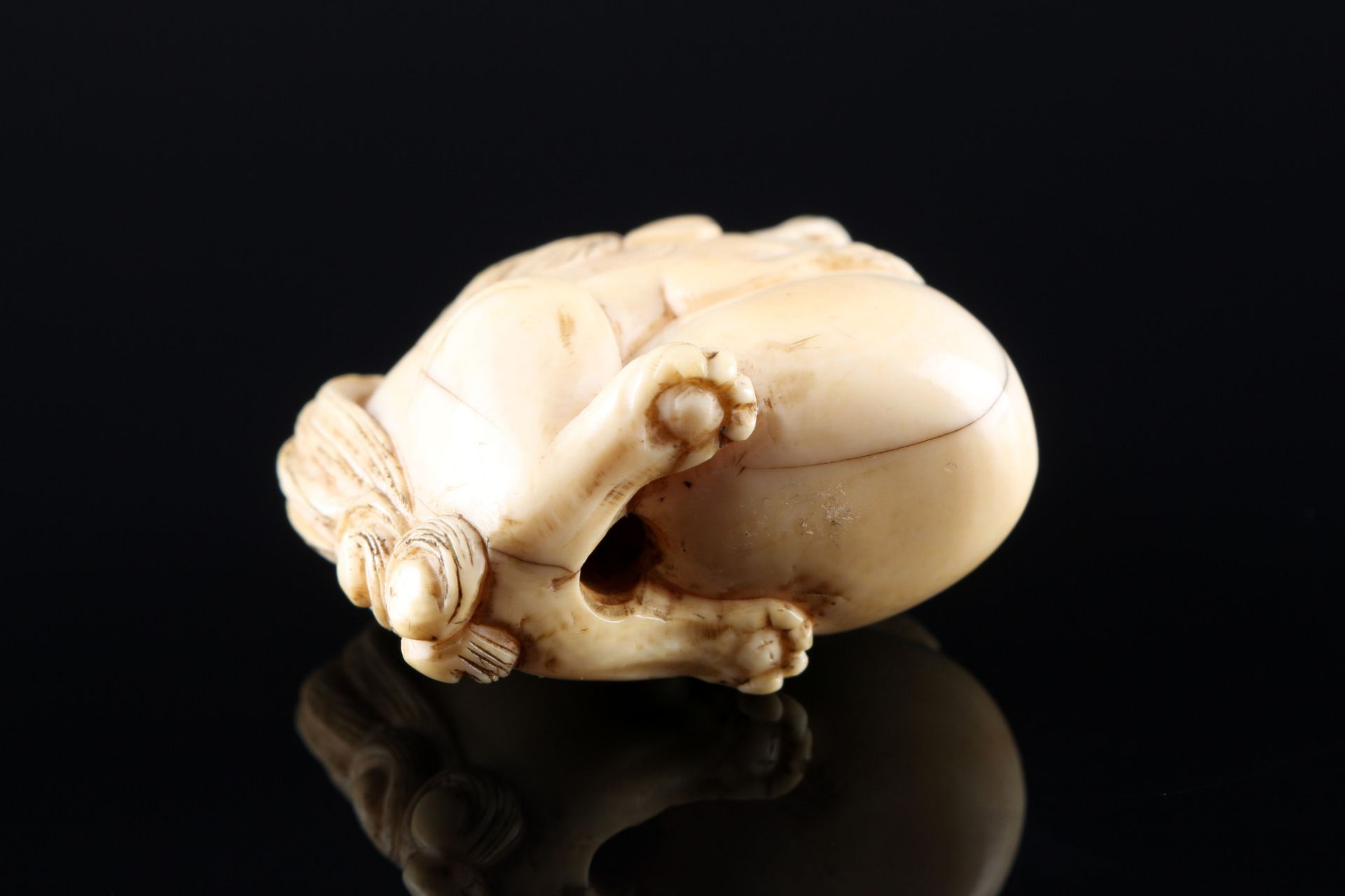 Japan 18./19. Jahrhundert, Elfenbein Katabori-Netsuke, Shishi mit Kugel Edo-Zeit, - Bild 5 aus 6