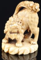 Japan 18./19. Jahrhundert, Elfenbein Katabori-Netsuke Shishi stehend, Edo-Zeit,