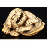 Japan 18. Jahrhundert, Elfenbein Katabori Netsuke Shishi liegend, Edo-Zeit,