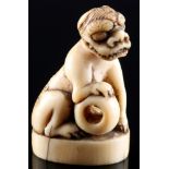 Japan 18. Jahrhundert, Elfenbein Netsuke Shishi, Edo-Zeit,