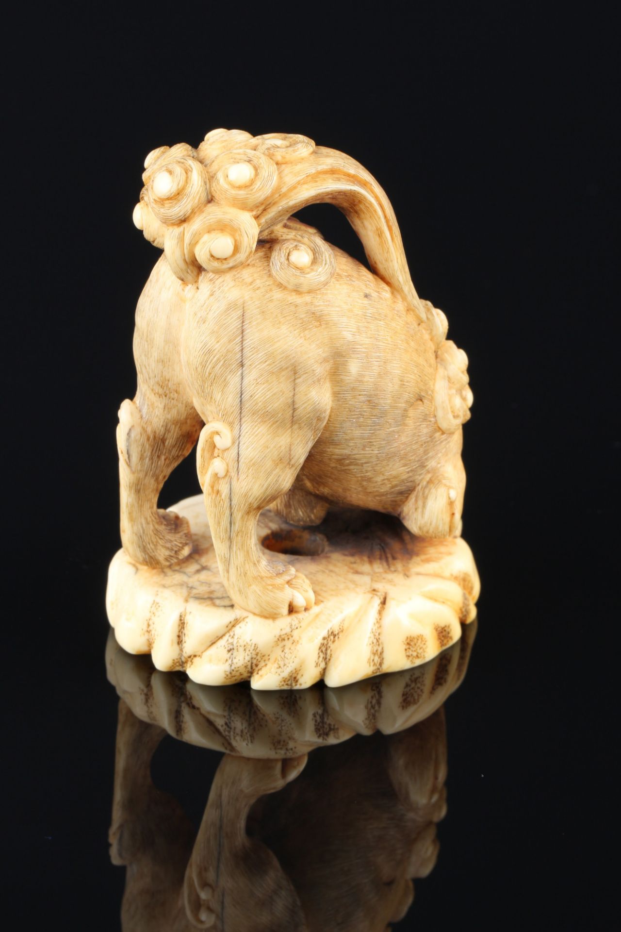 Japan 18./19. Jahrhundert, Elfenbein Katabori-Netsuke Shishi stehend, Edo-Zeit, - Bild 3 aus 6