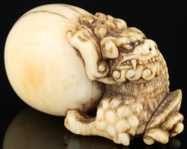 Japan Mitte 19. Jahrhundert, Elfenbein Netsuke Shishi mit Kugel, signiert, Edo-Zeit,