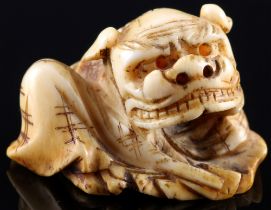 Japan 18. Jahrhundert, Elfenbein Netsuke Shishi mit Decke, Edo-Zeit,