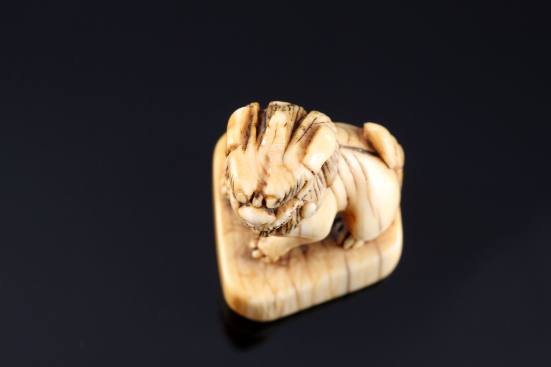 Japan 18. Jahrhundert, Elfenbein Netsuke Shishi auf Sockel, Edo-Zeit, - Bild 6 aus 6