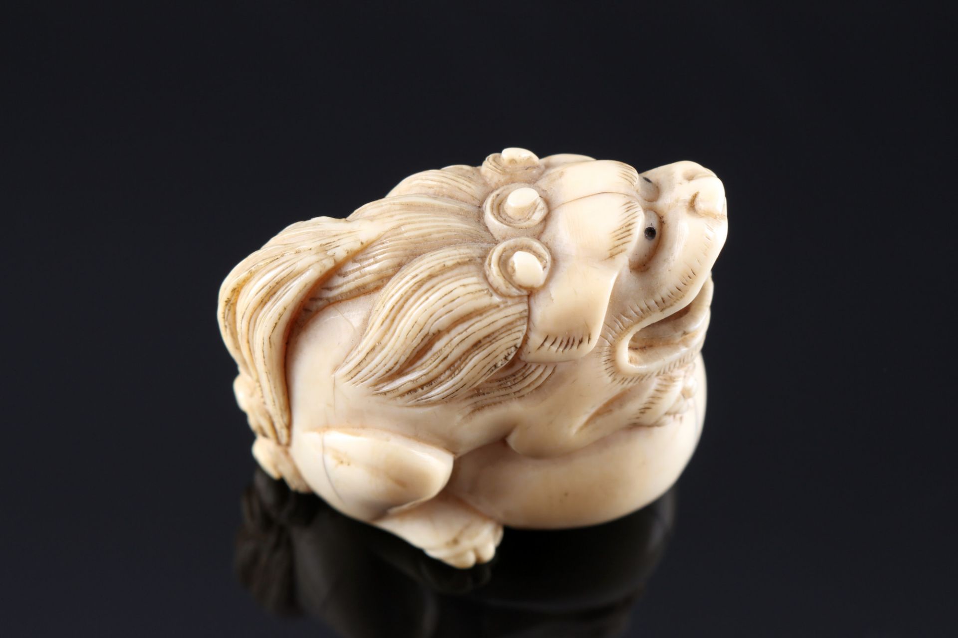 Japan 18./19. Jahrhundert, Elfenbein Katabori-Netsuke, Shishi mit Kugel Edo-Zeit, - Bild 6 aus 6