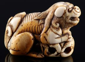 Japan 18. Jahrhundert, Elfenbein Katabori-Netsuke Shishi mit Blüte, Edo-Zeit,