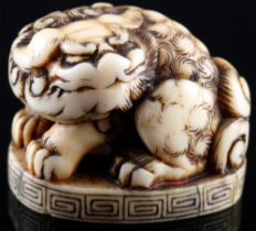 Japan 18./19. Jahrhundert, Elfenbein Netsuke Shishi auf Sockel Edo-Zeit,