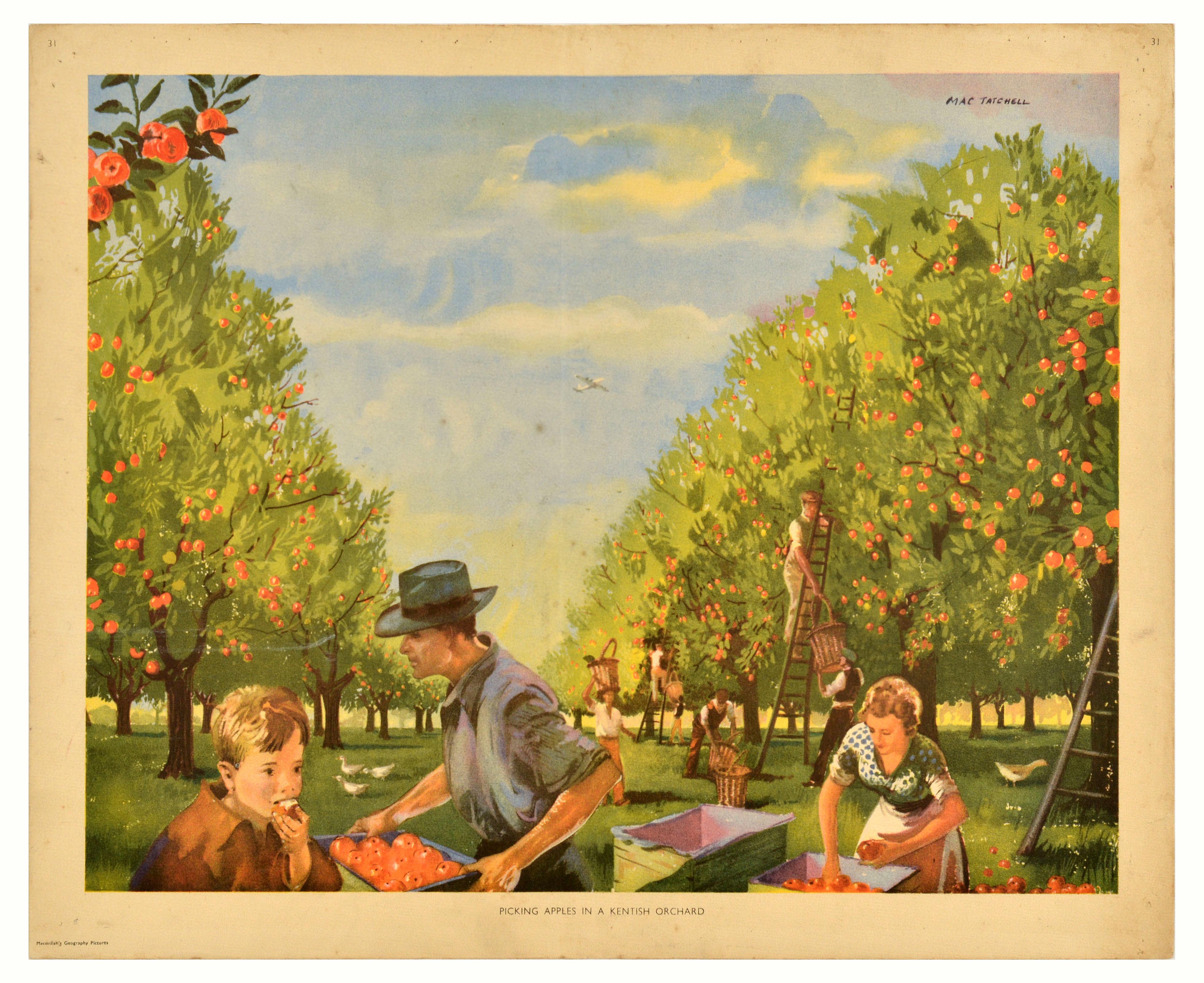 Advertising Poster Picking Apples Kent Kentish Orchard
