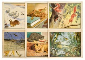 School Education Poster Set Children Wildlife School Aid