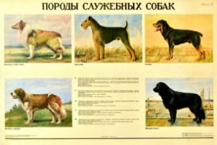 Advertising Poster Airedale Terrier Rottweiler Collie Scottish Shepherd Moscow Watchdog USSR Service