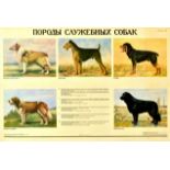 Advertising Poster Airedale Terrier Rottweiler Collie Scottish Shepherd Moscow Watchdog USSR Service