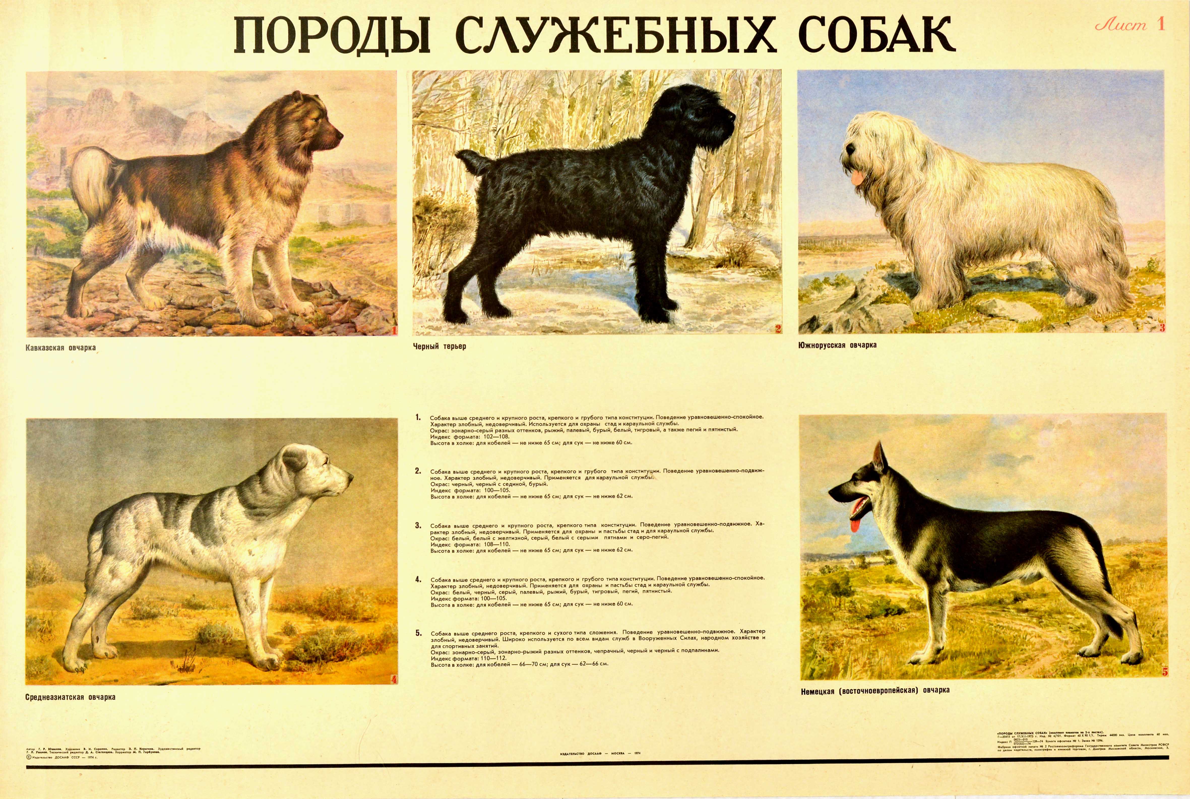 Advertising Poster Terrier German Shephard Caucasian USSR Service Dog Breeds 