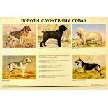 Advertising Poster Terrier German Shephard Caucasian USSR Service Dog Breeds 
