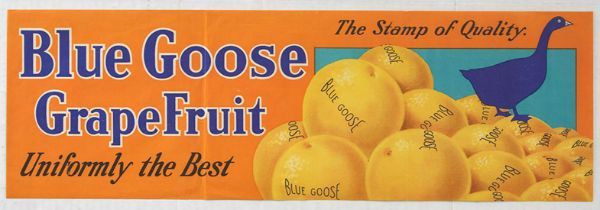 Advertising Poster Blue Goose Grapefruit Florida USA Quality
