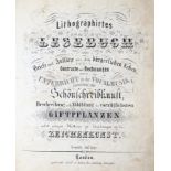 Lithographirtes Lesebuch