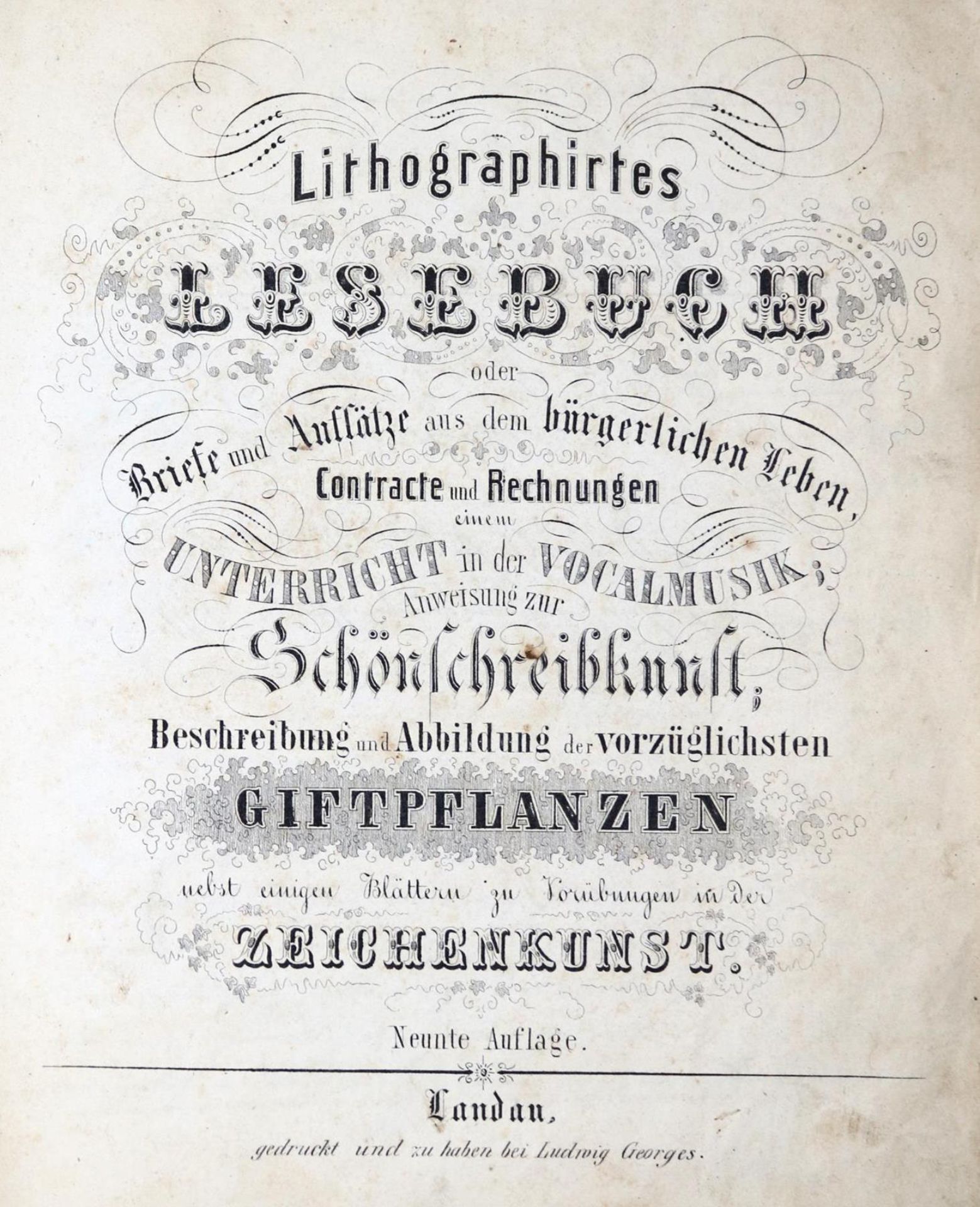 Lithographirtes Lesebuch