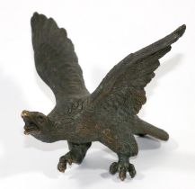 Bronzeadler