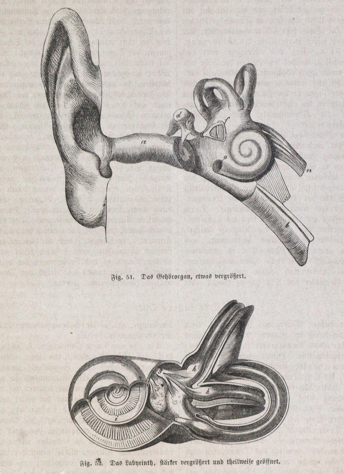 Böhm,H. (Hrsg.). - Image 5 of 6