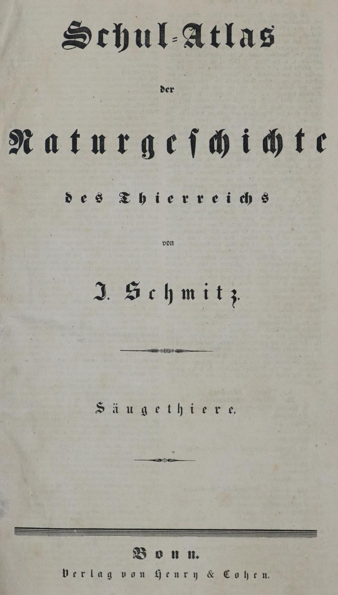 Schmitz,J. - Bild 3 aus 3