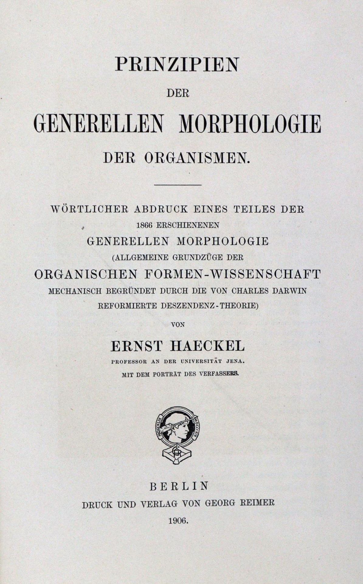 Haeckel,E - Bild 2 aus 2