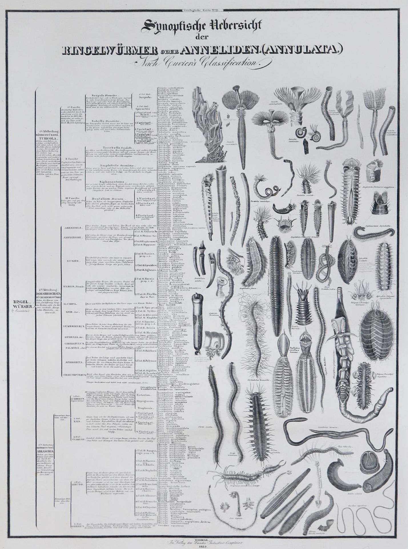 Comte,J.A. - Image 2 of 2