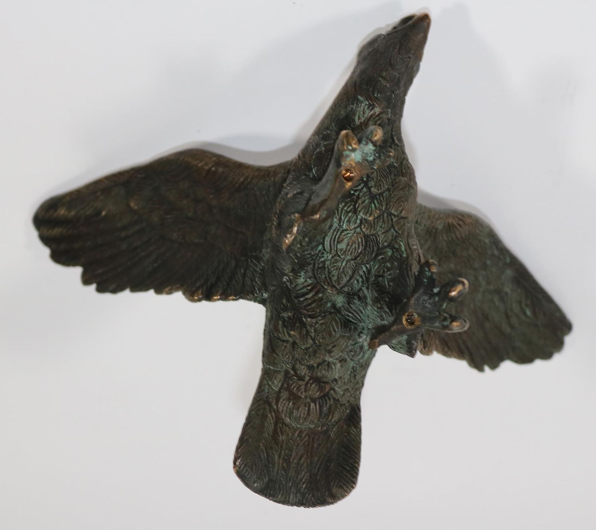 Bronzeadler - Bild 3 aus 3