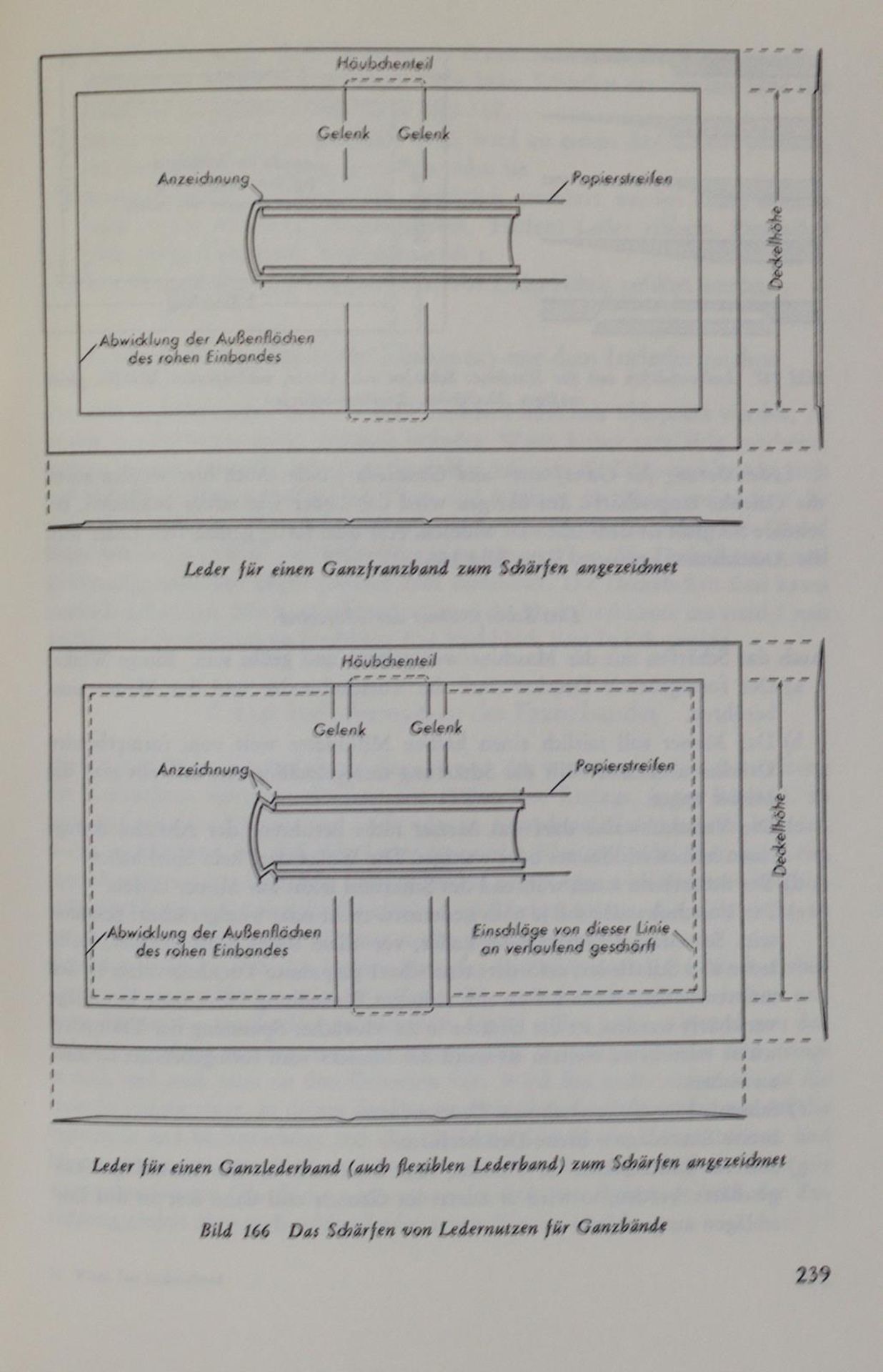 Sammlung - Bild 2 aus 2