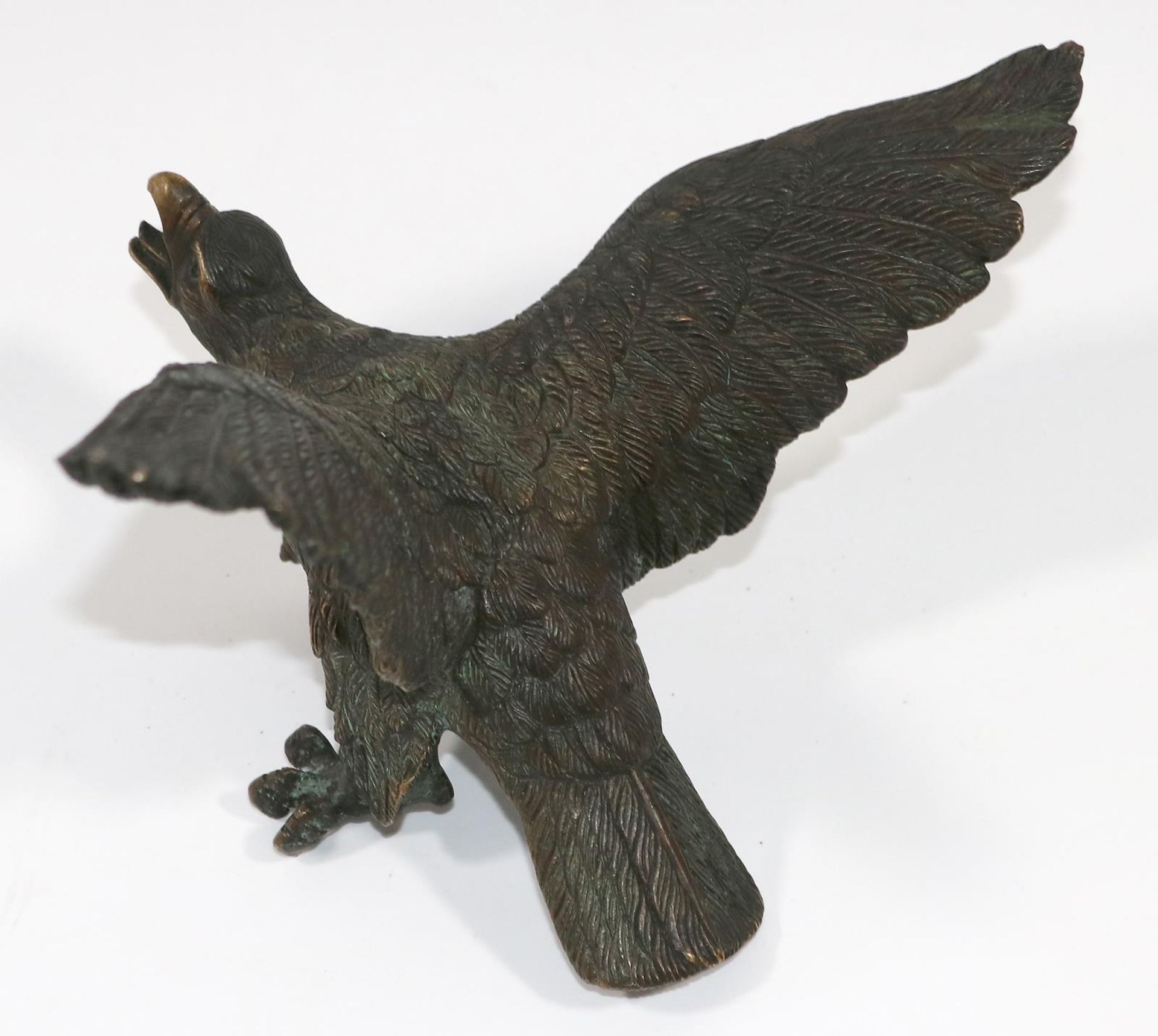 Bronzeadler - Bild 2 aus 3