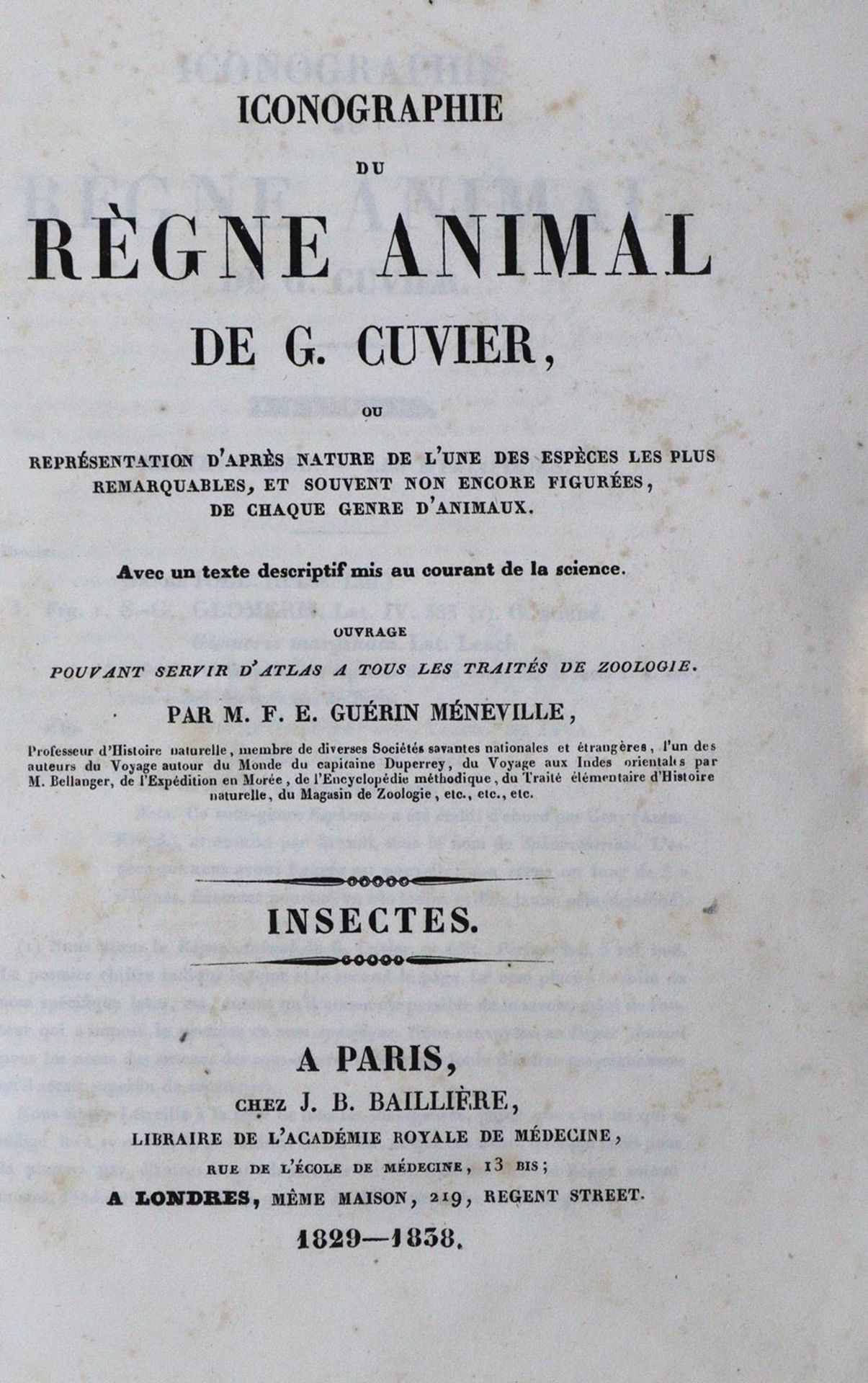 Cuvier,G.