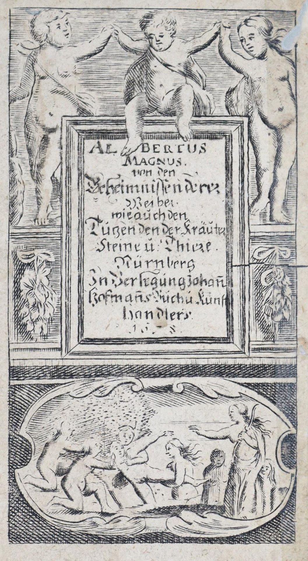 Albertus Magnus: - Bild 4 aus 4