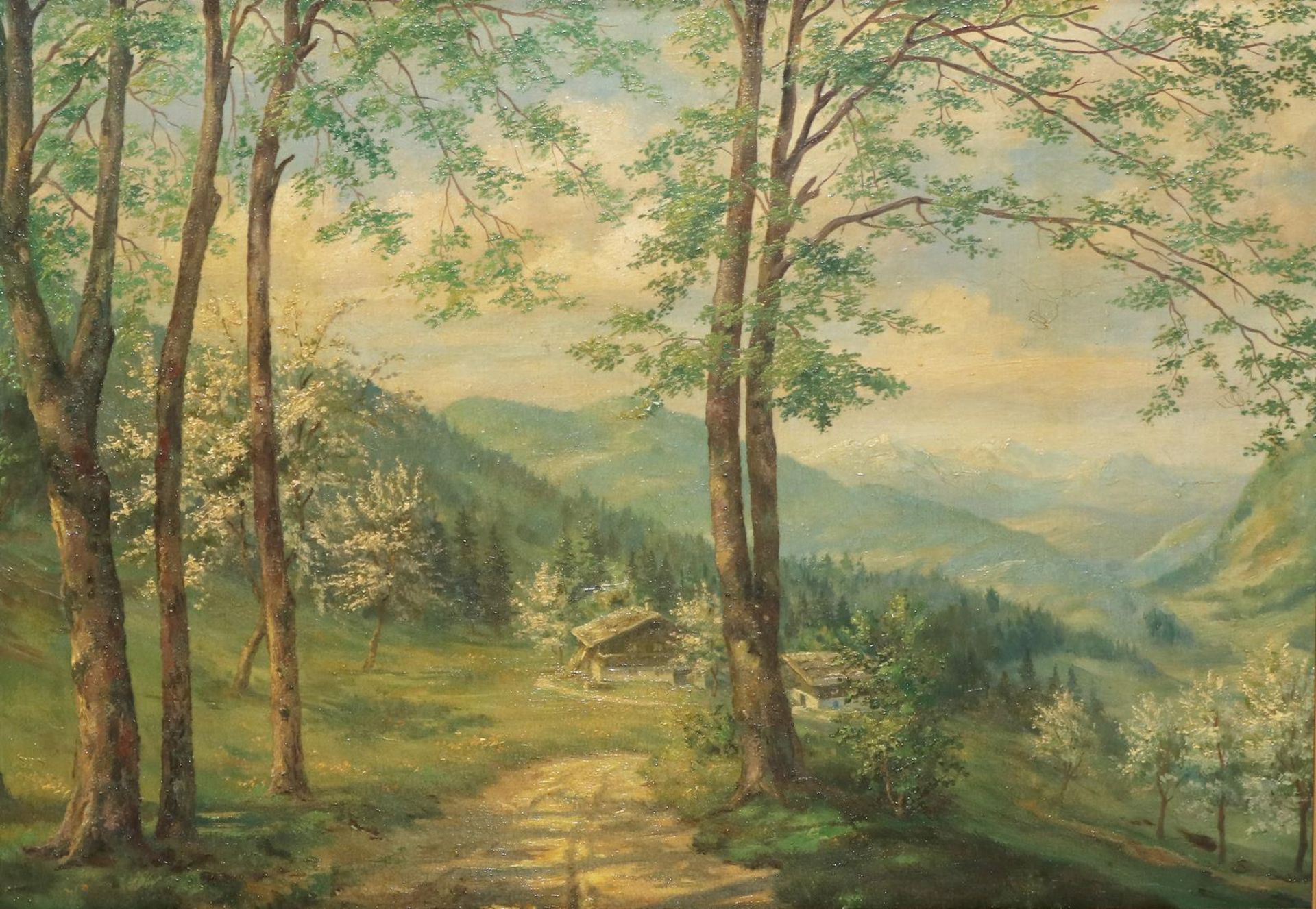Wald. - Image 2 of 2