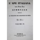 L'Ape Italiana delle Belle Arti.