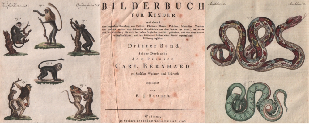 Kinderbuch. Bertuch, F(riedrich) J(ustin). Bilderbuch für Kinder, enthaltend eine angenehme Sammlung